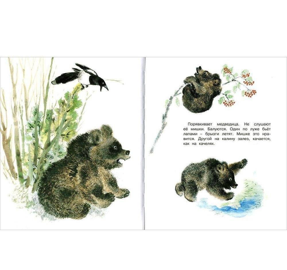 Друзья фото книги 5