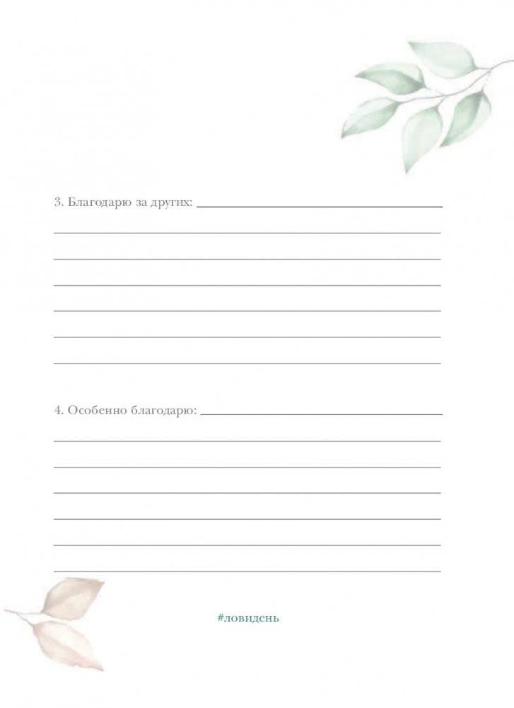 Лови день. Дневник благодарности фото книги 6