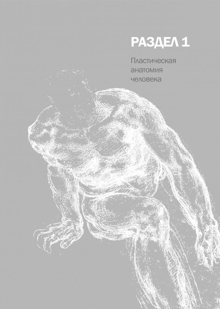 Практикум по пластической анатомии фото книги 5