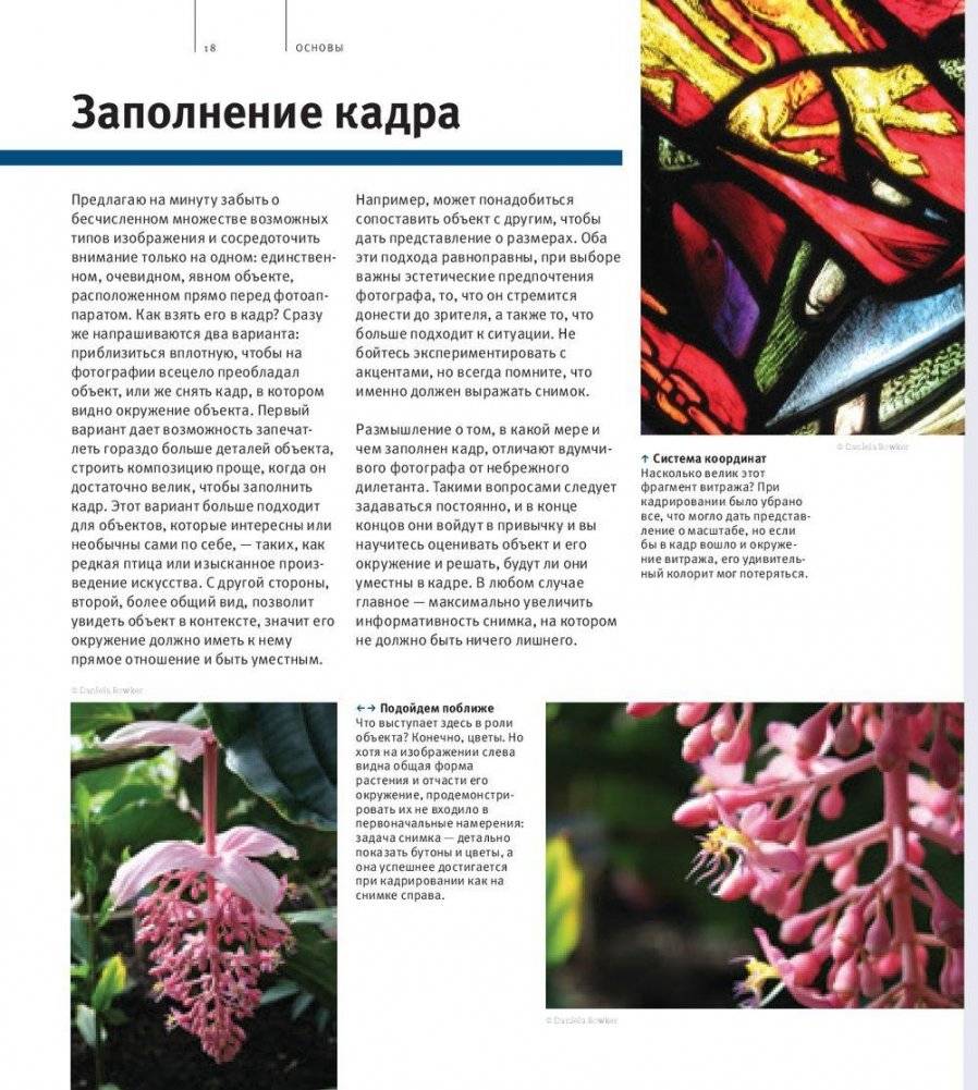 Школа фотографии Майкла Фримана. Экспозиция фото книги 9