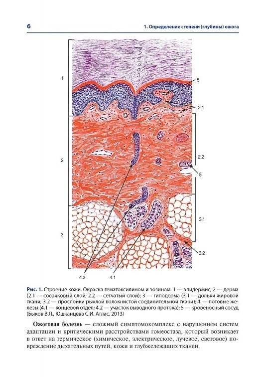 Атлас термических поражений фото книги 3