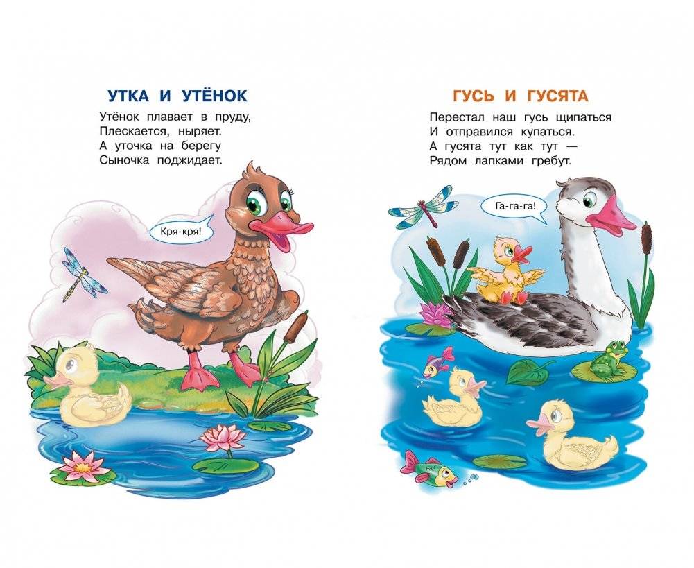 Домашние животные фото книги 4