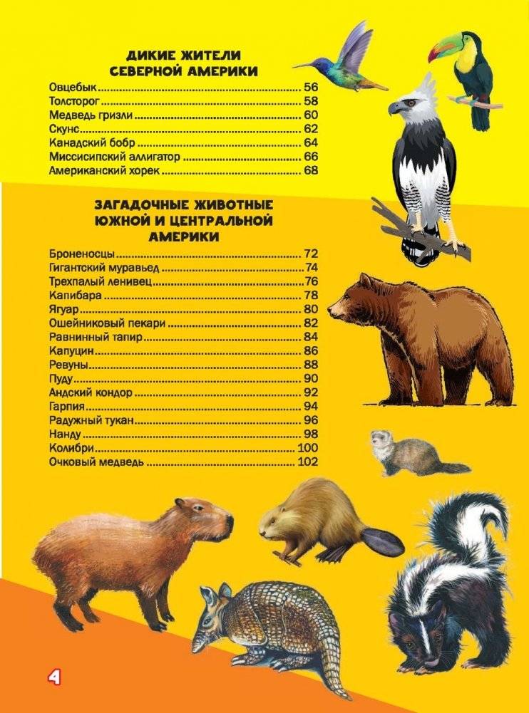 Моя первая большая книга о животных фото книги 14