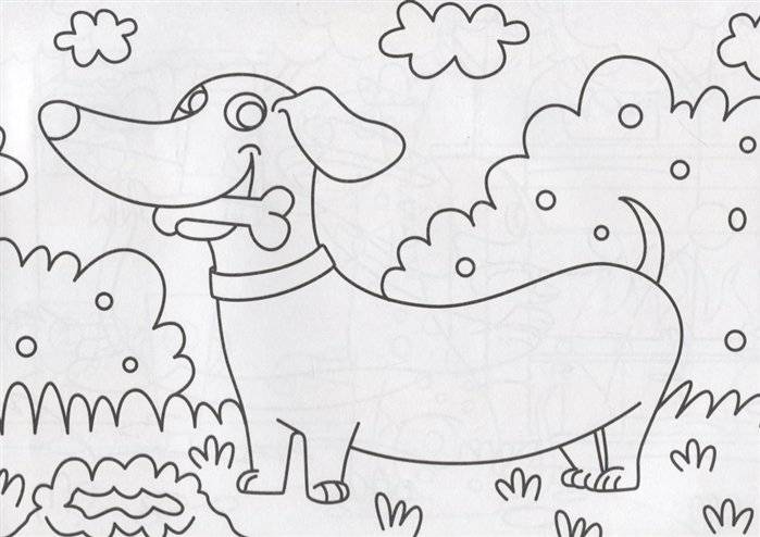 Милые щенки фото книги 2