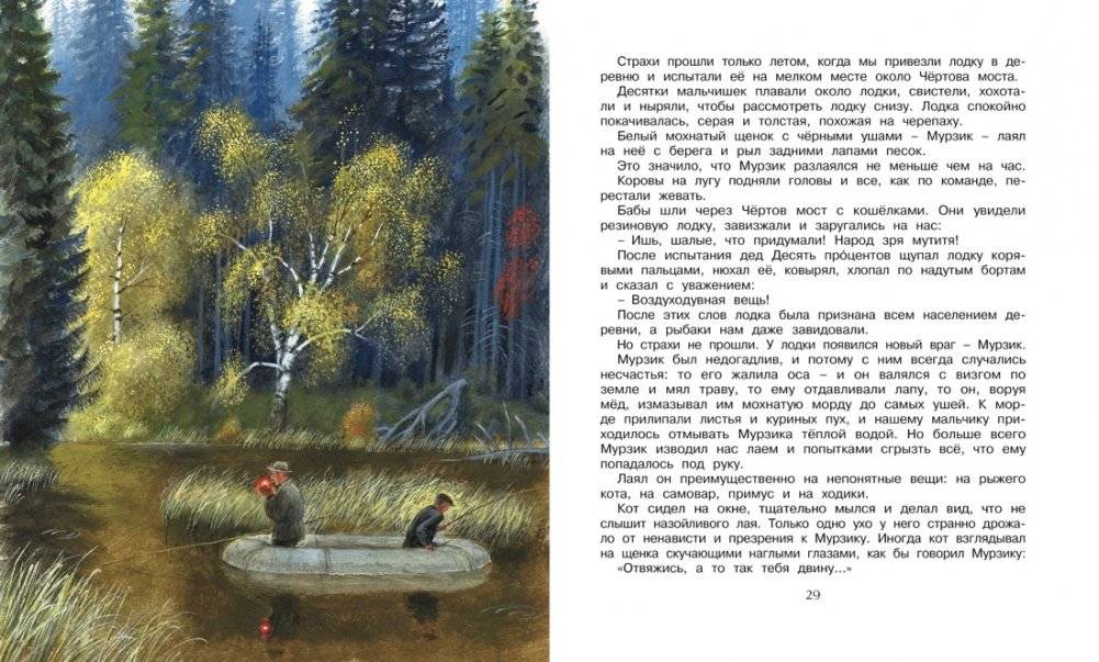 Корзина с еловыми шишками фото книги 5