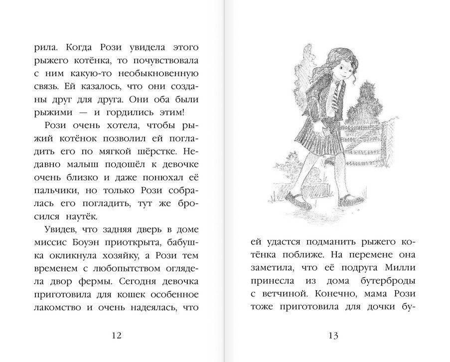 Котёнок Рыжик, или Как найти сокровище фото книги 8