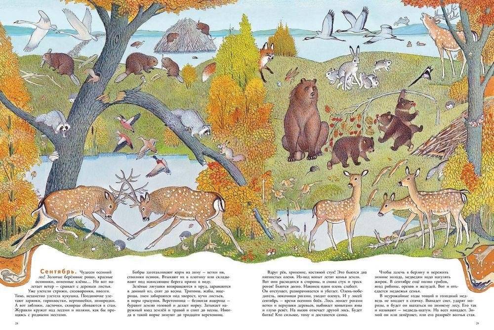 В лесу фото книги 4