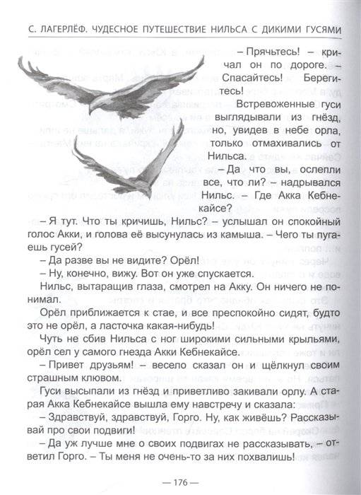 Чудесное путешествие Нильса с дикими гусями фото книги 6