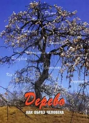 Дерево как образ человека фото книги