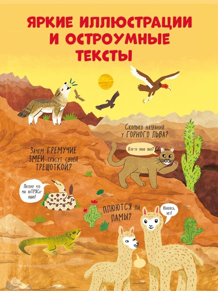 Большая книга с окошками. Животные фото книги 12