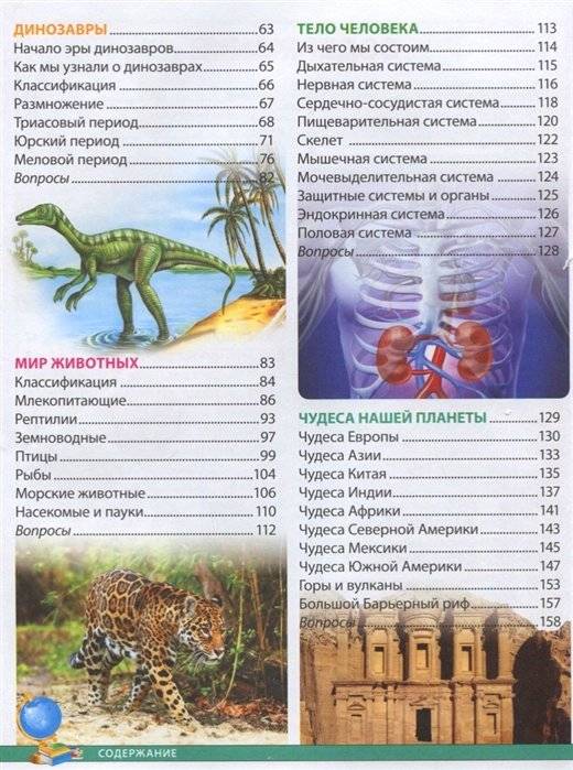 Детская энциклопедия. 555 ответов на вопросы почемучек фото книги 3