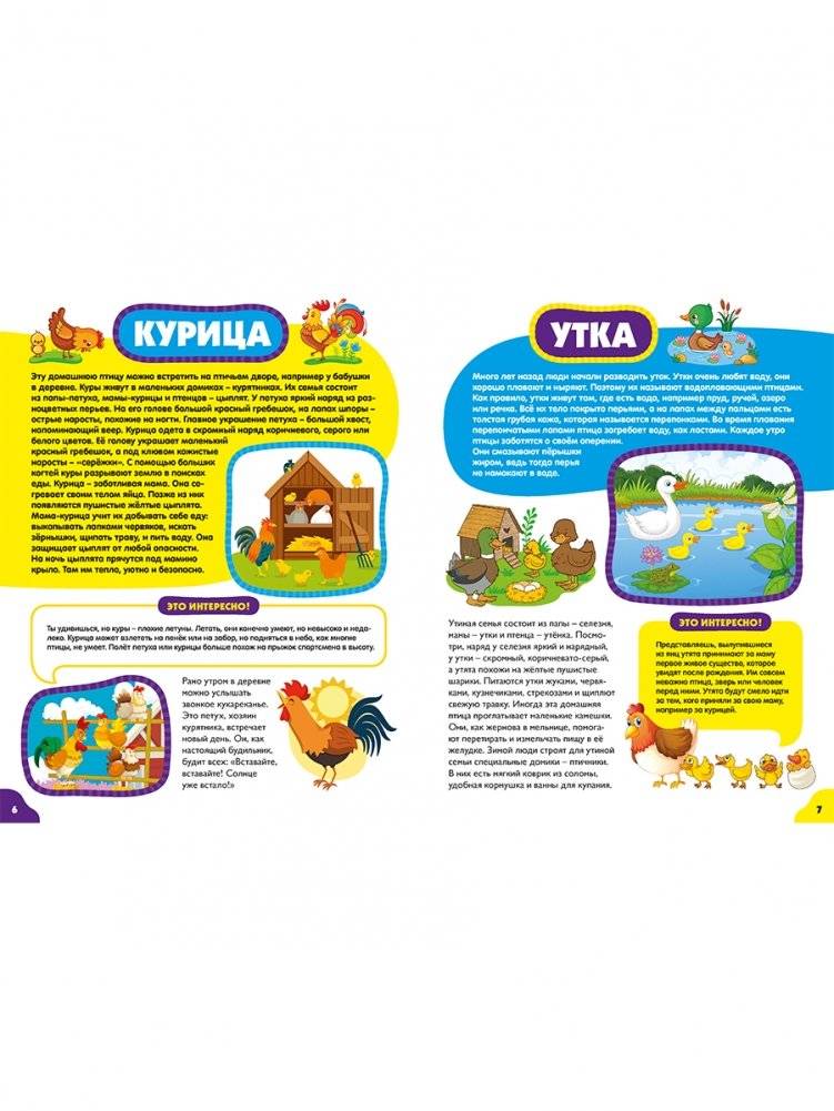 Животные для малышей. Первая энциклопедия для самых маленьких фото книги 2