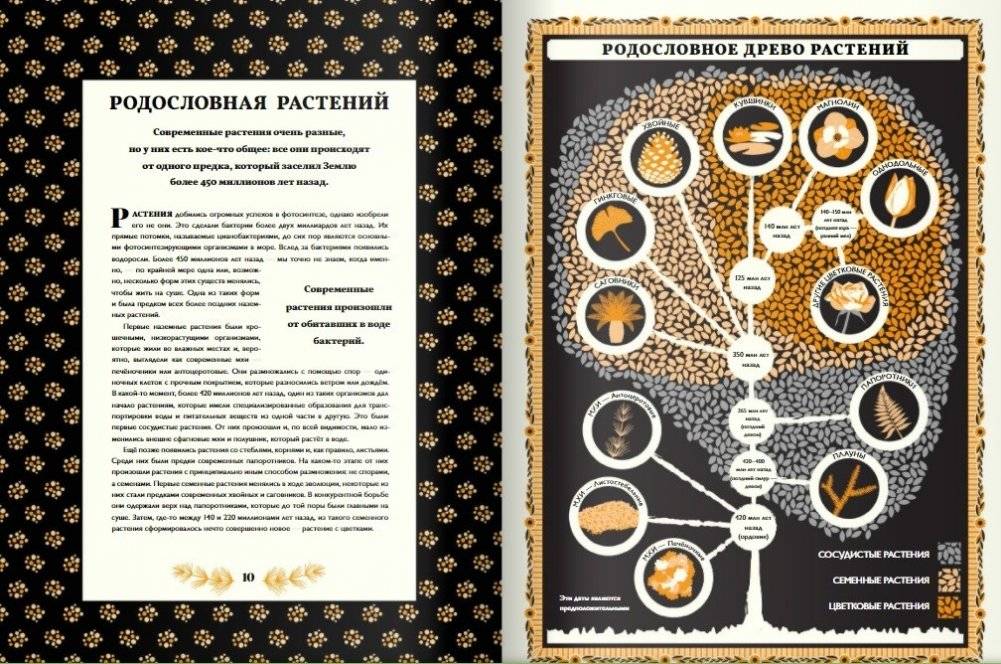 Мир растений фото книги 6