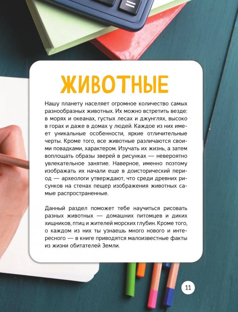 Энциклопедия рисования фото книги 12