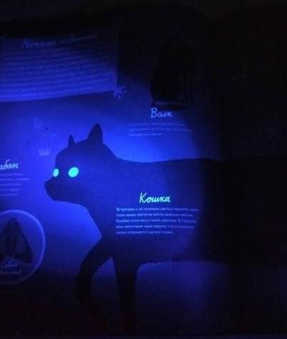 Светящиеся в темноте фото книги 5