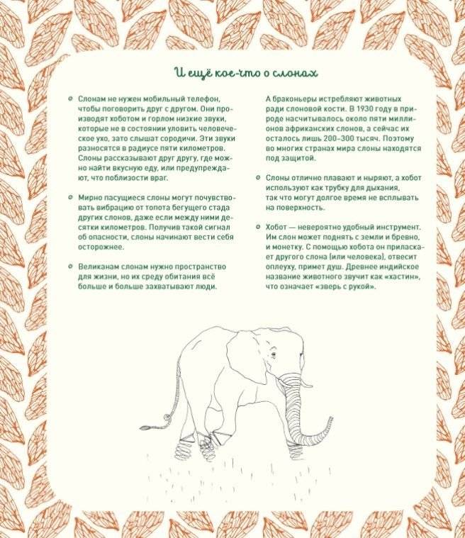 Может ли жираф облизать свои уши? И ещё 319 вопросов о мире вокруг фото книги 2