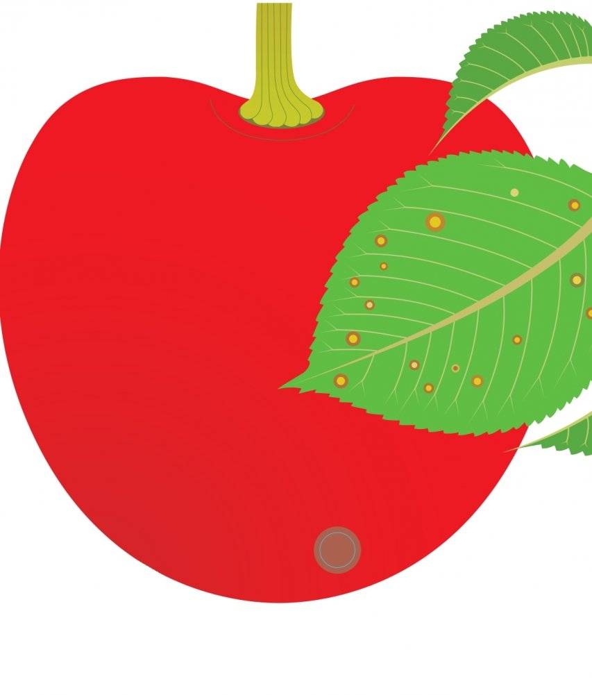 Что за фрукт? фото книги 6