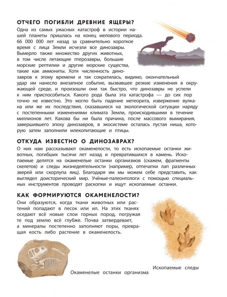 Динозавры. Полный иллюстрированный словарь фото книги 3