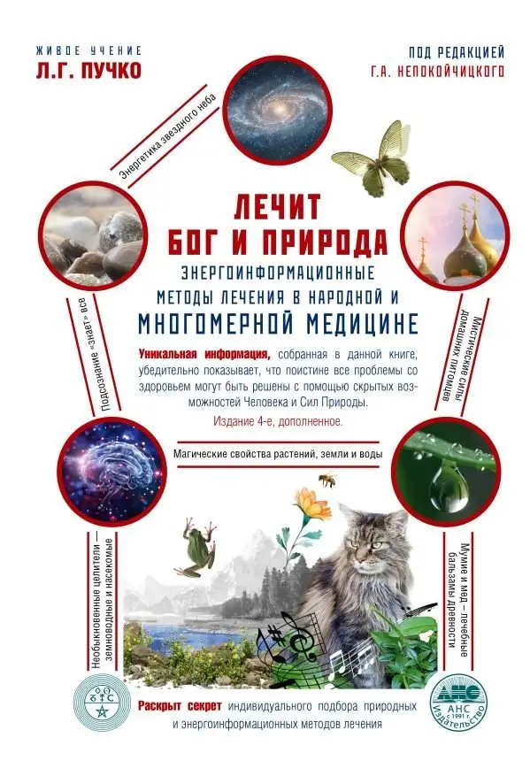 Лечит Бог и Природа. Энергоинформационные методы лечения в народной и многомерной медицине фото книги