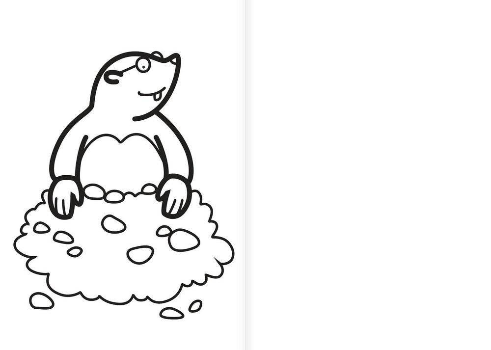 Раскраска. Весёлые зверята фото книги 3