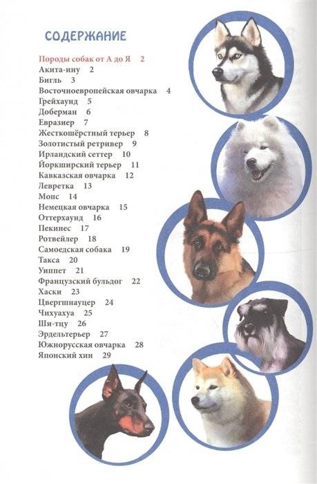 Породы собак от А до Я фото книги 6