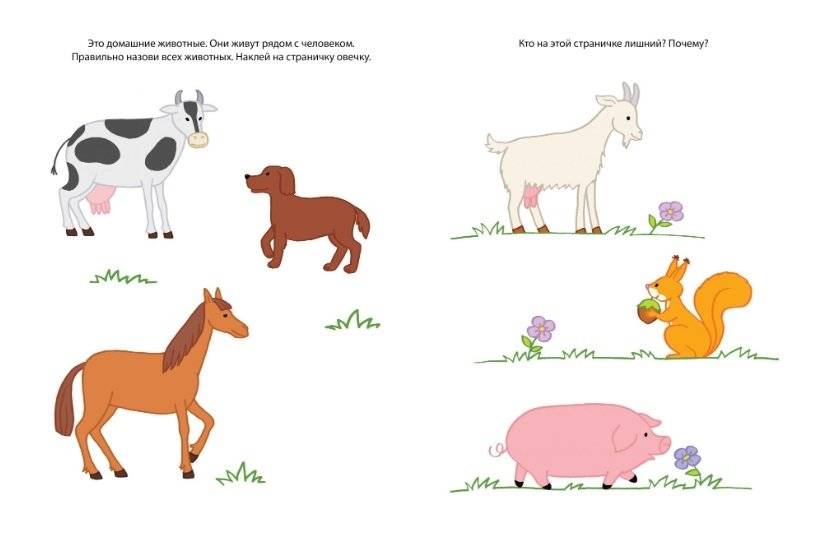 Знакомимся с природой 2-3 года фото книги 2