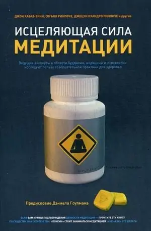Исцеляющая сила медитации. Ведущие эксперты в области буддизма, медицины и психологии исследуют пользу созерцательной практики для здоровья фото книги