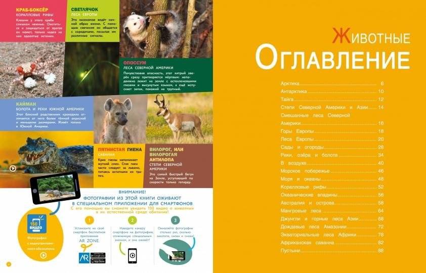 Животные. Энциклопедия фото книги 2