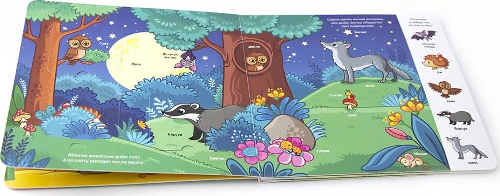 Книжка с окошками "Мои первые слова. Лес" фото книги 3