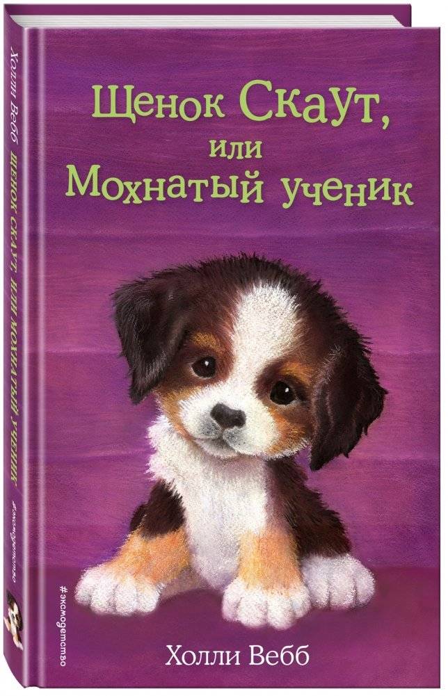 Щенок Скаут, или Мохнатый ученик фото книги 2