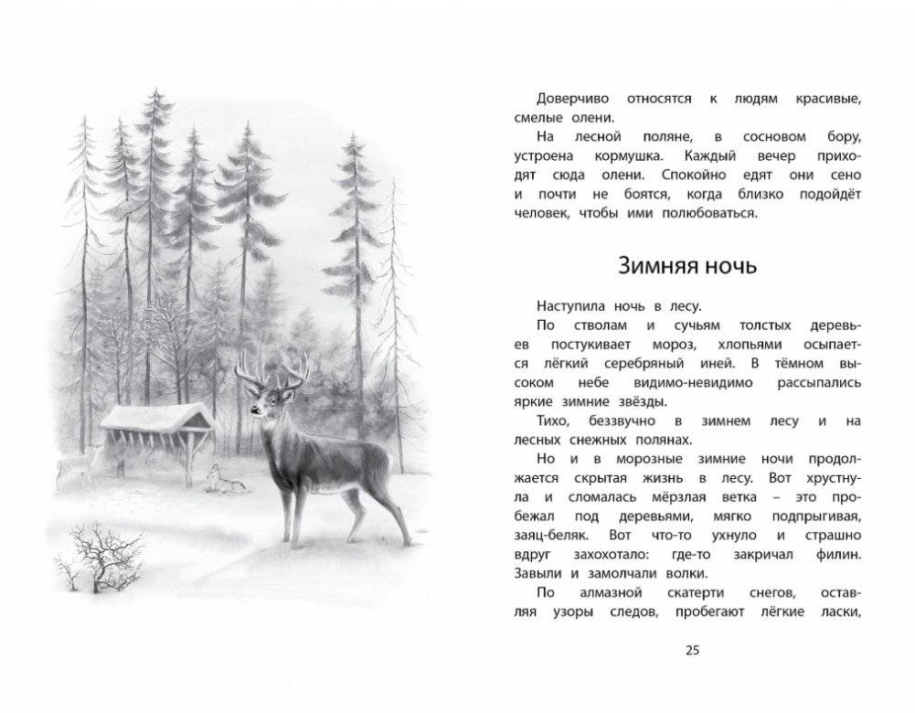 Год в лесу фото книги 5
