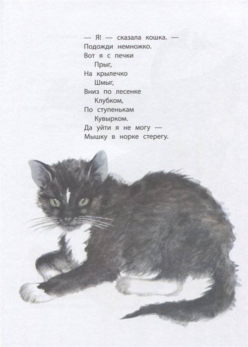 Стихи. Сказки фото книги 5