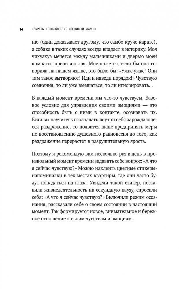 Секреты спокойствия "ленивой мамы" (м) фото книги 3