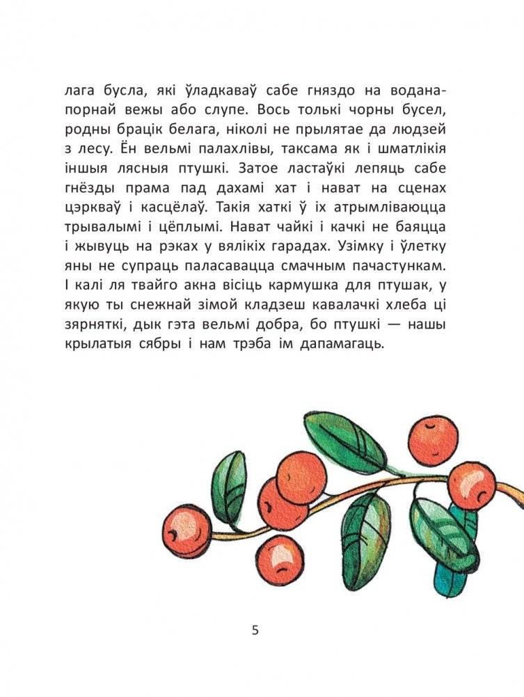 Хто сароку напалохаў? фото книги 5