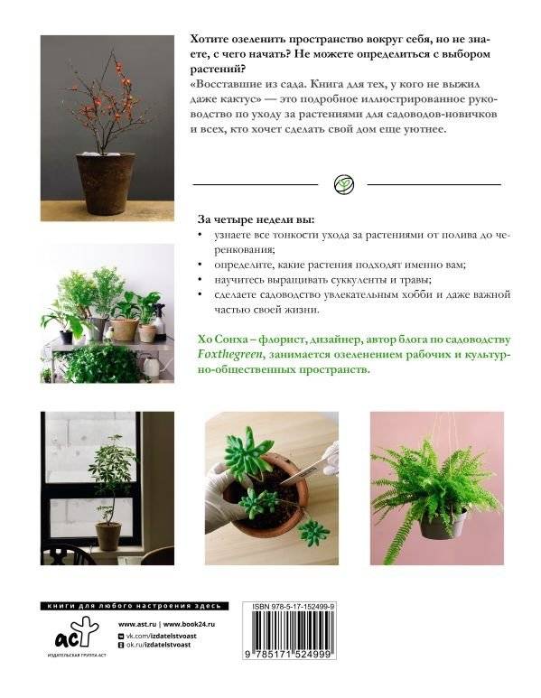 Восставшие из сада. Книга для тех, у кого не выжил даже кактус фото книги 2