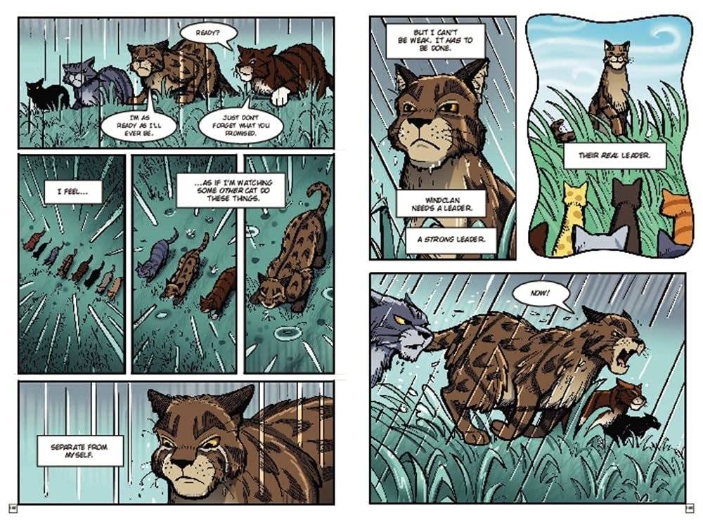 Warriors: Winds of Change фото книги 5