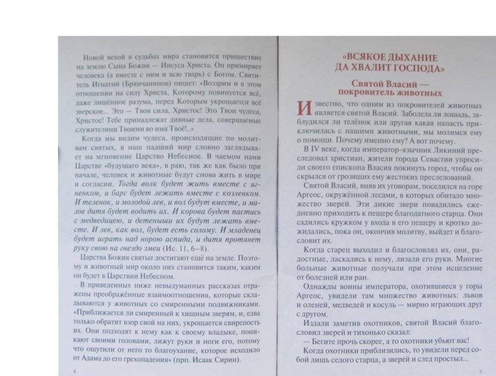 Можно ли муравью в храм входить? Занимательные рассказы для детей и родителей фото книги 3
