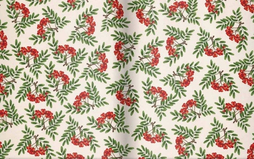 Чудесные травы фото книги 2