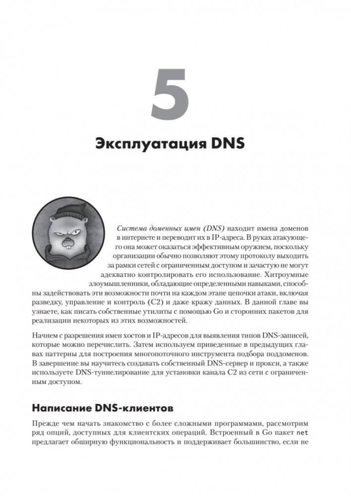 Black Hat Go: Программирование для хакеров и пентестеров фото книги 10