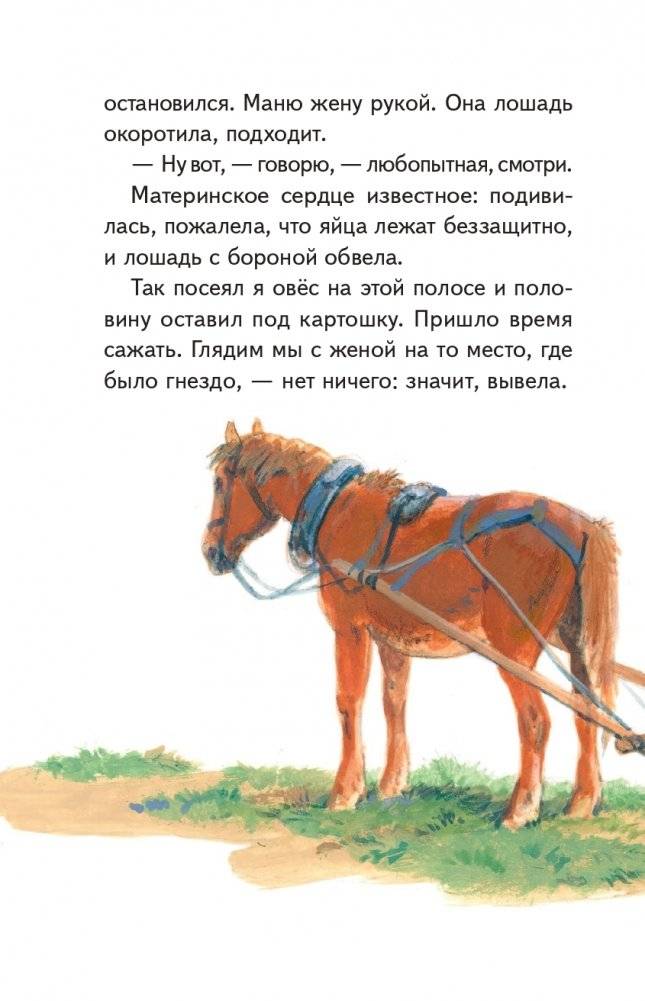 Рассказы о природе (ил. С. Ярового) фото книги 10