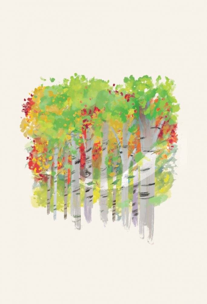 Холодное сердце. За стенами замка. Новые приключения Анны фото книги 2