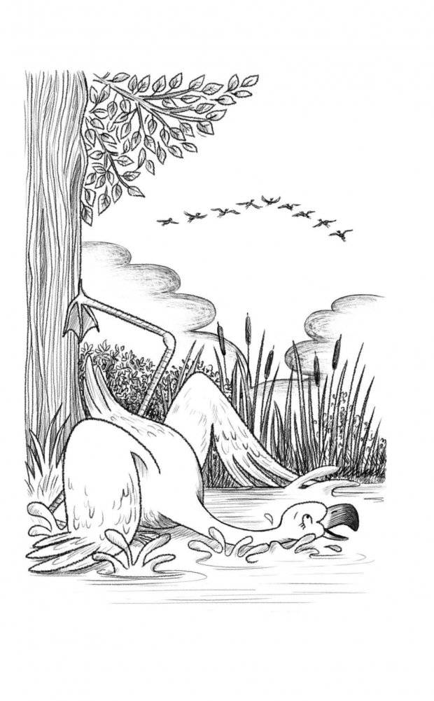 Фламинго, которая мечтала стать балериной фото книги 12