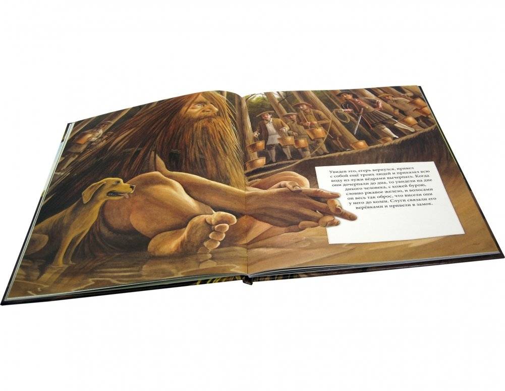 Железный Ганс фото книги 7