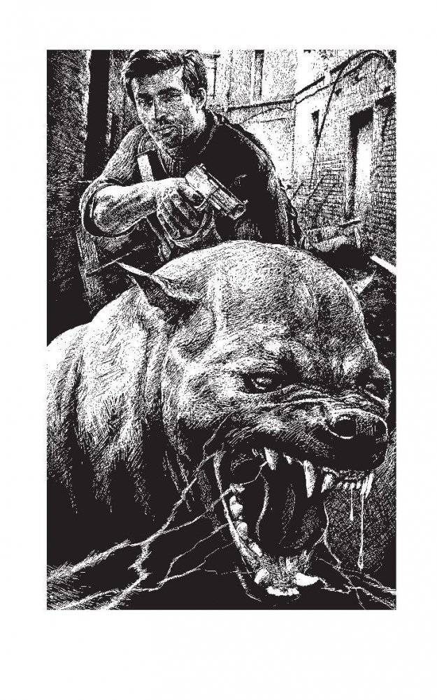 Восемнадцать капсул красного цвета фото книги 3