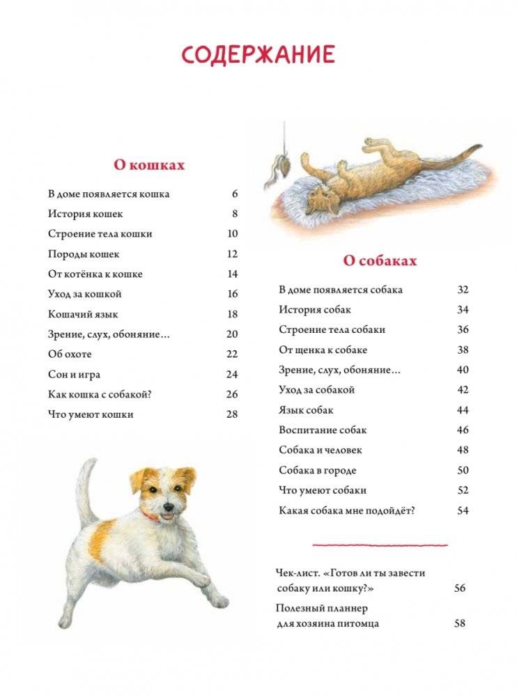 Моя самая красивая книга о кошках и собаках фото книги 2