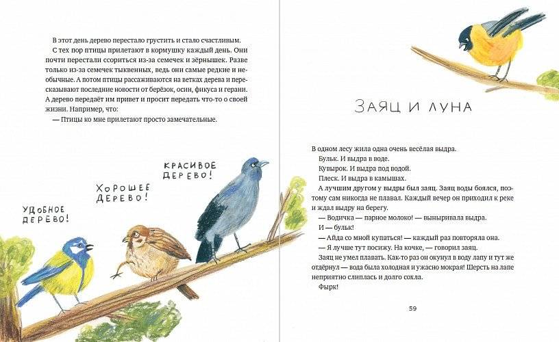 Родственник жирафа и другие истории фото книги 6