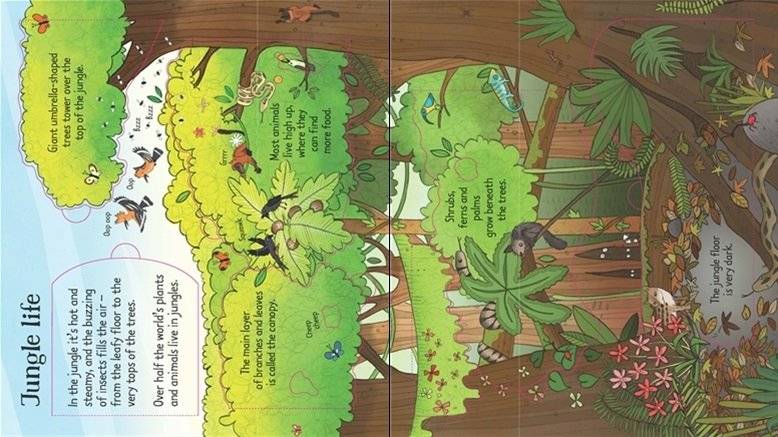 Look Inside. The Jungle. Board book фото книги 2