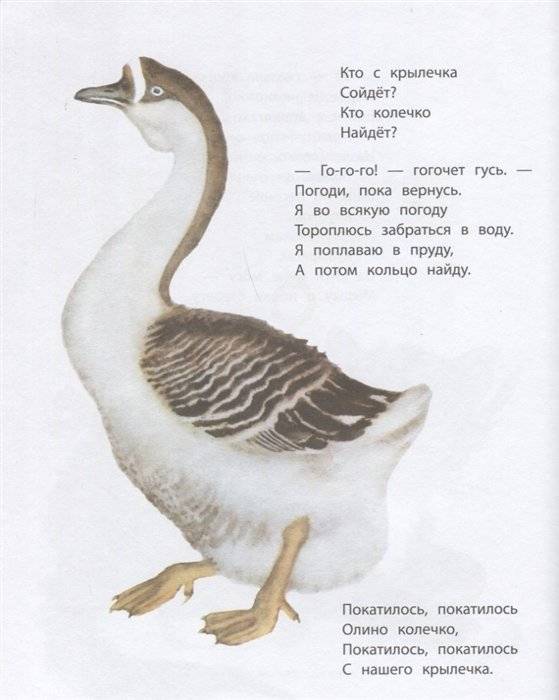 Стихи. Сказки фото книги 6