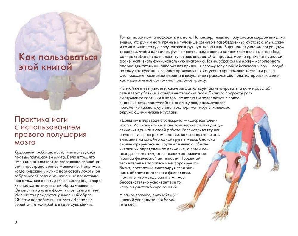 Ключевые позы йоги. Руководство по функциональной анатомии йоги фото книги 7