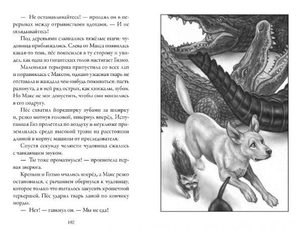 Верные. Книга 3. Дорога чудес и невзгод фото книги 4